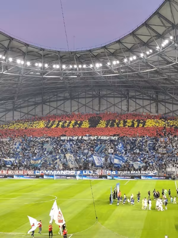 Rashid Zerual "Viva Roja" tifo-si bo'yicha tushuntirish berdi