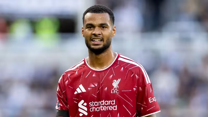 Manchester City Gakpo uchun 85 million funt taklif qilishi mumkin
