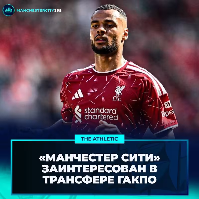 Manchester City Kodi Gakpo bilan qiziqmoqda